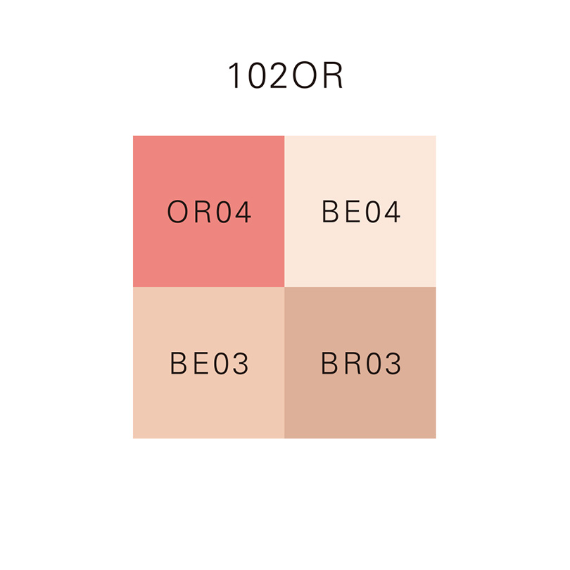 DESIGNING FACE COLOR PALETTE/102OR